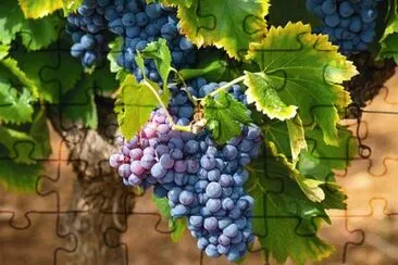 Imagem jigsaw puzzle