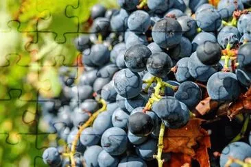 Imagem jigsaw puzzle