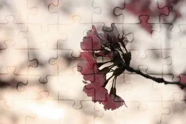 OK jigsaw puzzle