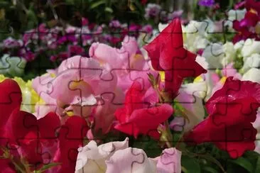 OK jigsaw puzzle