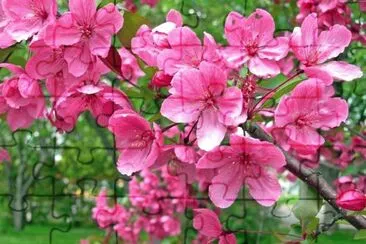 imagem jigsaw puzzle
