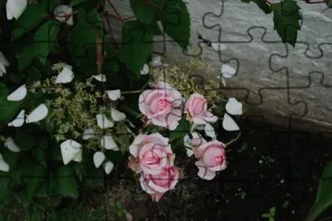 mon risier jigsaw puzzle