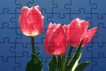 Foto jigsaw puzzle
