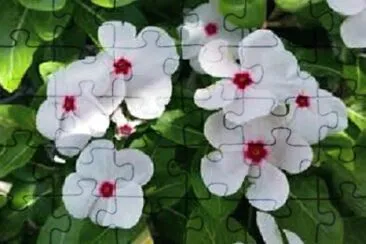 OK jigsaw puzzle