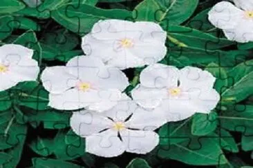 OK jigsaw puzzle
