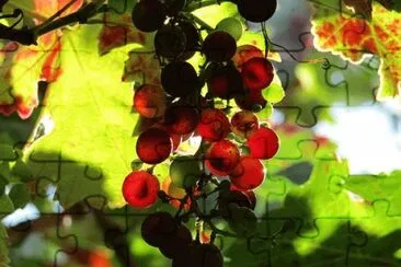 Imagem jigsaw puzzle