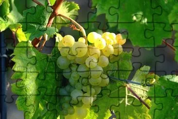 Imagem jigsaw puzzle