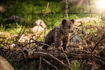 Imagem jigsaw puzzle