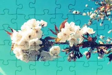 Imagem jigsaw puzzle