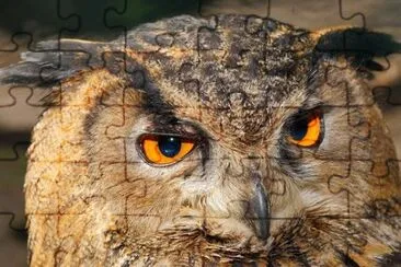 Imagem jigsaw puzzle