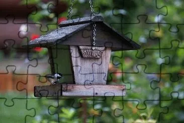 Imagem jigsaw puzzle