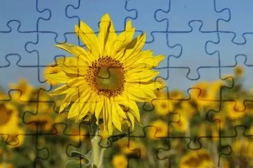 Imagem jigsaw puzzle
