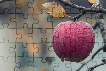 Imagem jigsaw puzzle