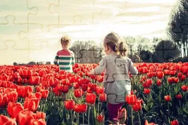 Imagem jigsaw puzzle