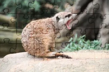 Imagem jigsaw puzzle