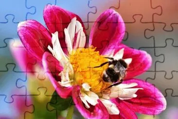OK jigsaw puzzle