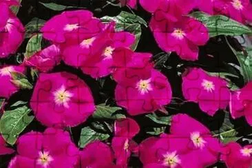 OK jigsaw puzzle