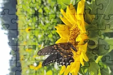 natural jigsaw puzzle