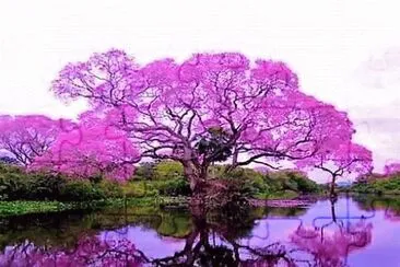 flores jigsaw puzzle