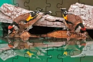 natural jigsaw puzzle