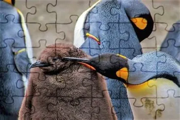 natural jigsaw puzzle