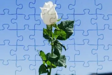 Imagem jigsaw puzzle