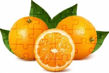 Imagem jigsaw puzzle