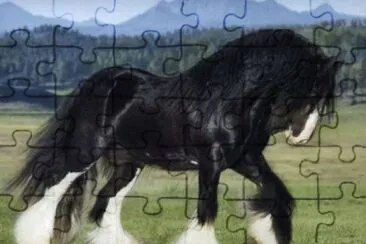 Imagem jigsaw puzzle