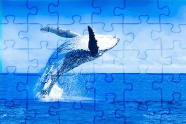Peixes jigsaw puzzle