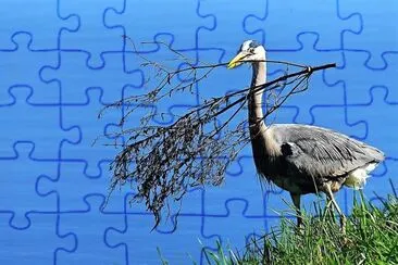 natural jigsaw puzzle