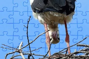 natural jigsaw puzzle