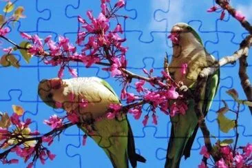 Bunt jigsaw puzzle