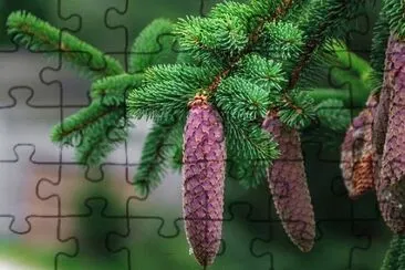 Imagem jigsaw puzzle