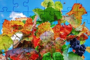 Imagem jigsaw puzzle
