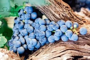 natural jigsaw puzzle
