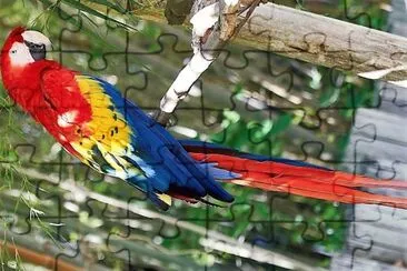 natural jigsaw puzzle