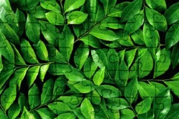 Imagem jigsaw puzzle