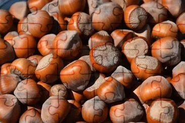 Imagem jigsaw puzzle