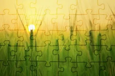Imagem jigsaw puzzle