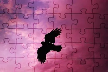 Imagem jigsaw puzzle