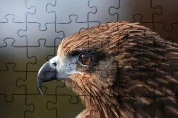 Imagem jigsaw puzzle