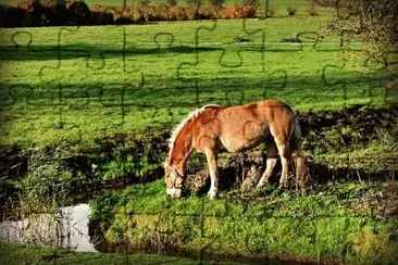 Imagem jigsaw puzzle
