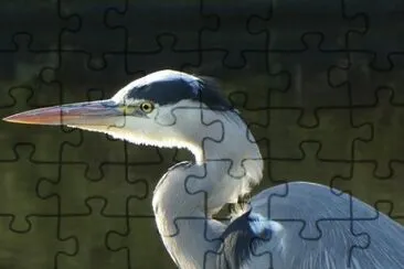 Imagem jigsaw puzzle