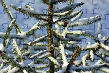 Imagem jigsaw puzzle