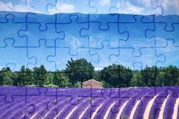 Imagem jigsaw puzzle