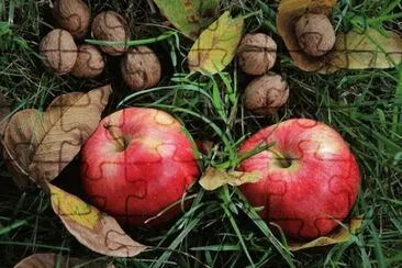 Imagem jigsaw puzzle
