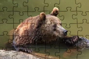 Imagem jigsaw puzzle