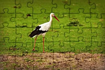 Imagem jigsaw puzzle