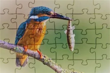 natural jigsaw puzzle