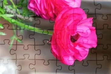 flores jigsaw puzzle